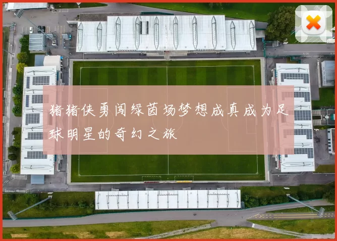 猪猪侠勇闯绿茵场梦想成真成为足球明星的奇幻之旅