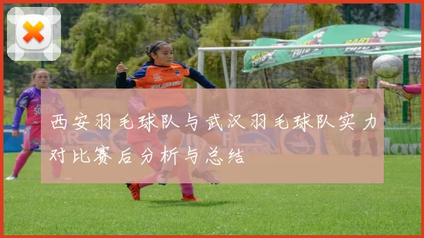 西安羽毛球队与武汉羽毛球队实力对比赛后分析与总结