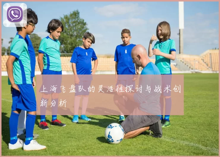 上海飞盘队的灵活性探讨与战术创新分析
