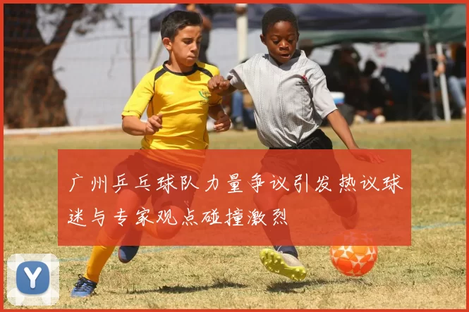 广州乒乓球队力量争议引发热议球迷与专家观点碰撞激烈