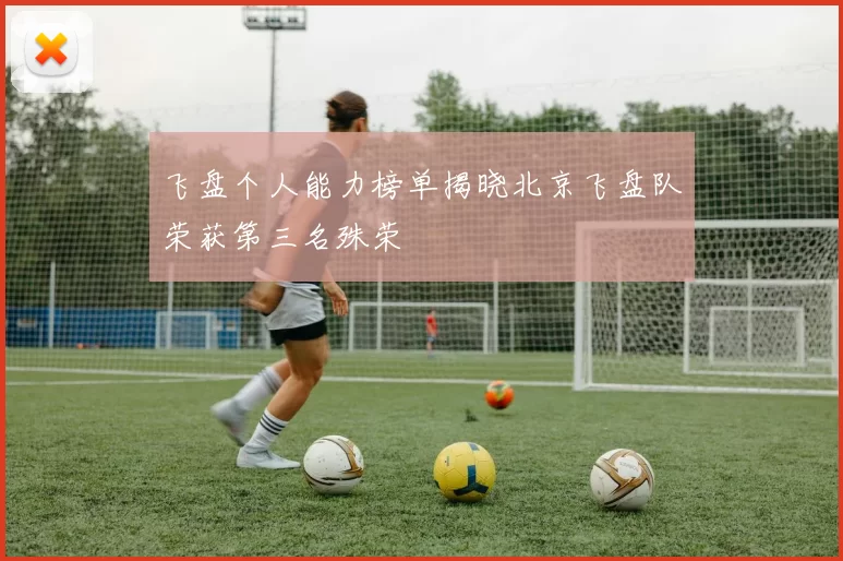 飞盘个人能力榜单揭晓北京飞盘队荣获第三名殊荣