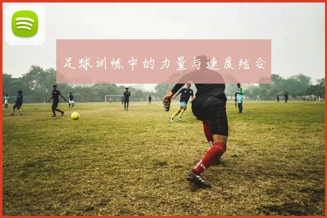 足球训练中的力量与速度结合