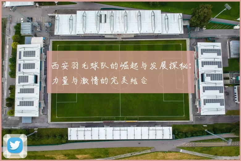 西安羽毛球队的崛起与发展探秘：力量与激情的完美结合