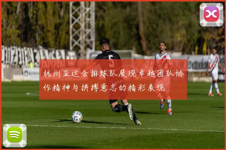 杭州亚运会排球队展现卓越团队协作精神与拼搏意志的精彩表现