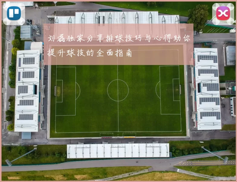 刘磊独家分享排球技巧与心得助你提升球技的全面指南