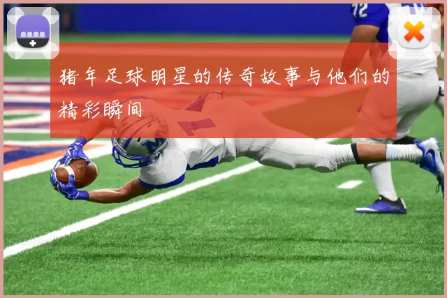 猪年足球明星的传奇故事与他们的精彩瞬间