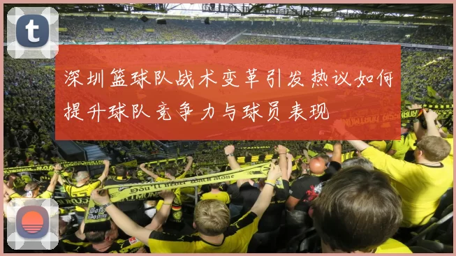 深圳篮球队战术变革引发热议如何提升球队竞争力与球员表现