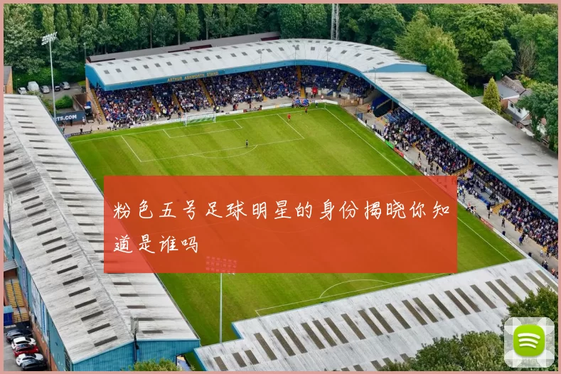 粉色五号足球明星的身份揭晓你知道是谁吗