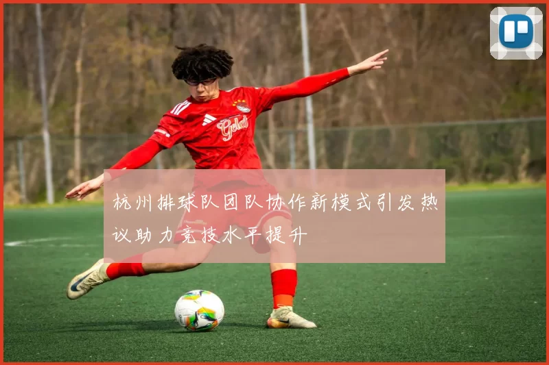 杭州排球队团队协作新模式引发热议助力竞技水平提升