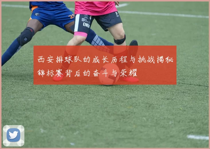 西安排球队的成长历程与挑战揭秘锦标赛背后的奋斗与荣耀