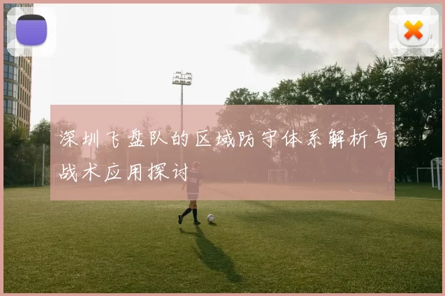 深圳飞盘队的区域防守体系解析与战术应用探讨