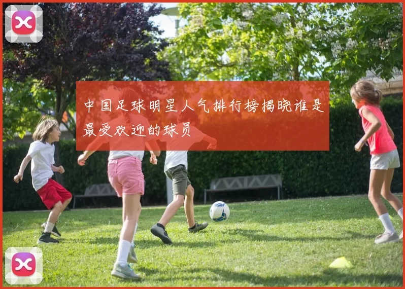 中国足球明星人气排行榜揭晓谁是最受欢迎的球员