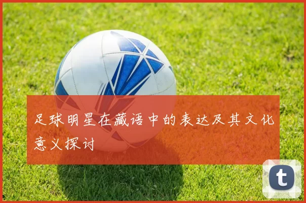 足球明星在藏语中的表达及其文化意义探讨