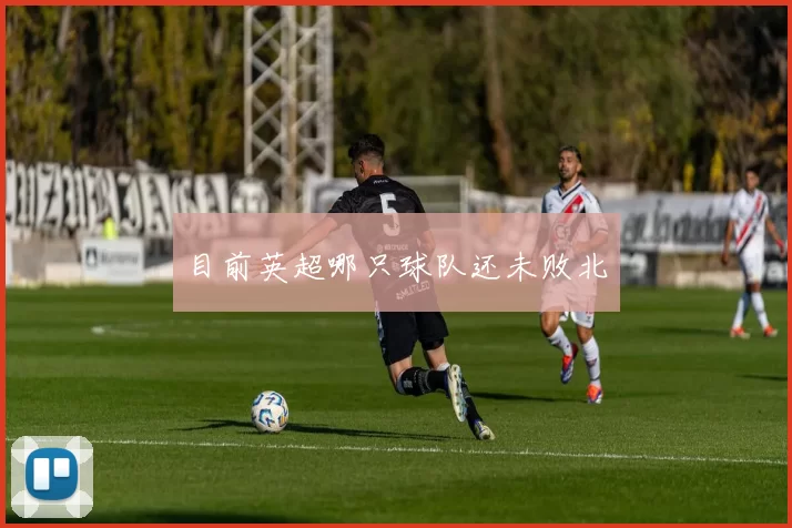 目前英超哪只球队还未败北