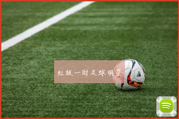 红极一时足球明星