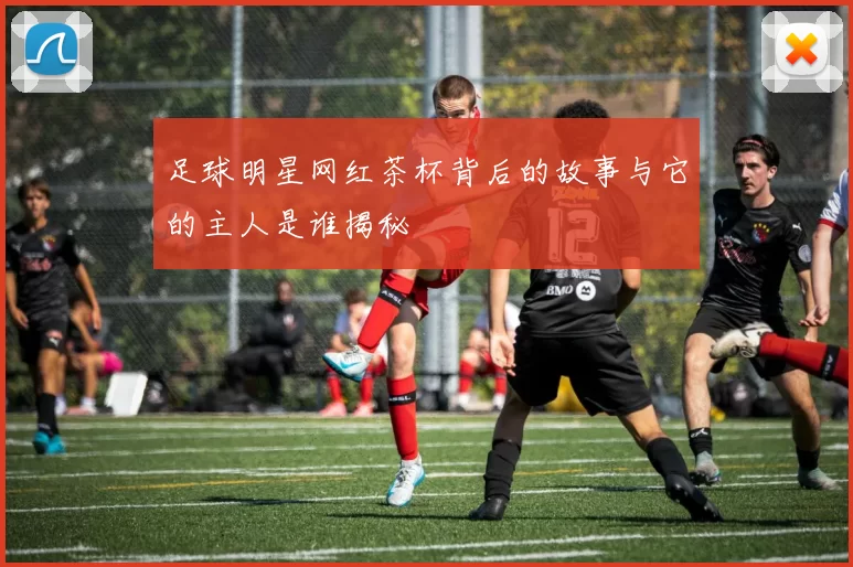 足球明星网红茶杯背后的故事与它的主人是谁揭秘