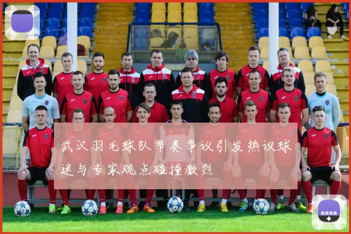 武汉羽毛球队节奏争议引发热议球迷与专家观点碰撞激烈