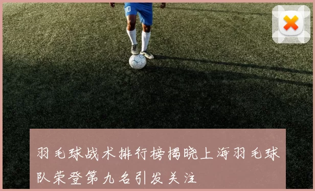 羽毛球战术排行榜揭晓上海羽毛球队荣登第九名引发关注
